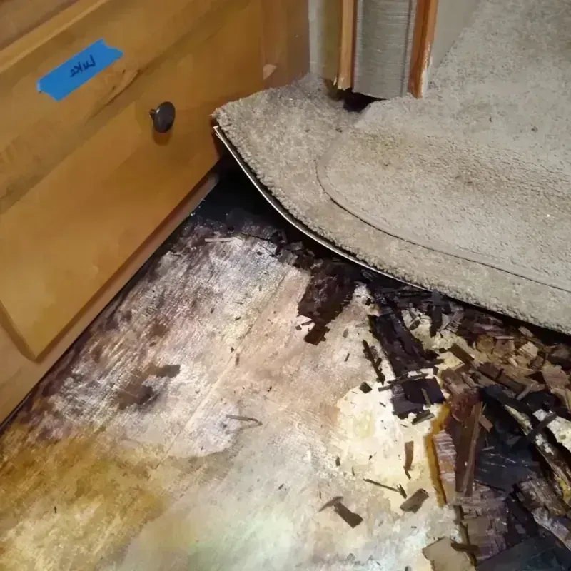 Wood Floor Water Damage in Riverside, NY